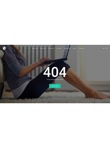 404 page